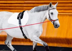 HORSEWARE ® Ireland Micklem2 Multibridle USA with Reins Best