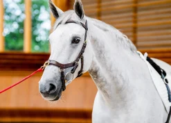 HORSEWARE ® Ireland Micklem2 Multibridle USA with Reins Best