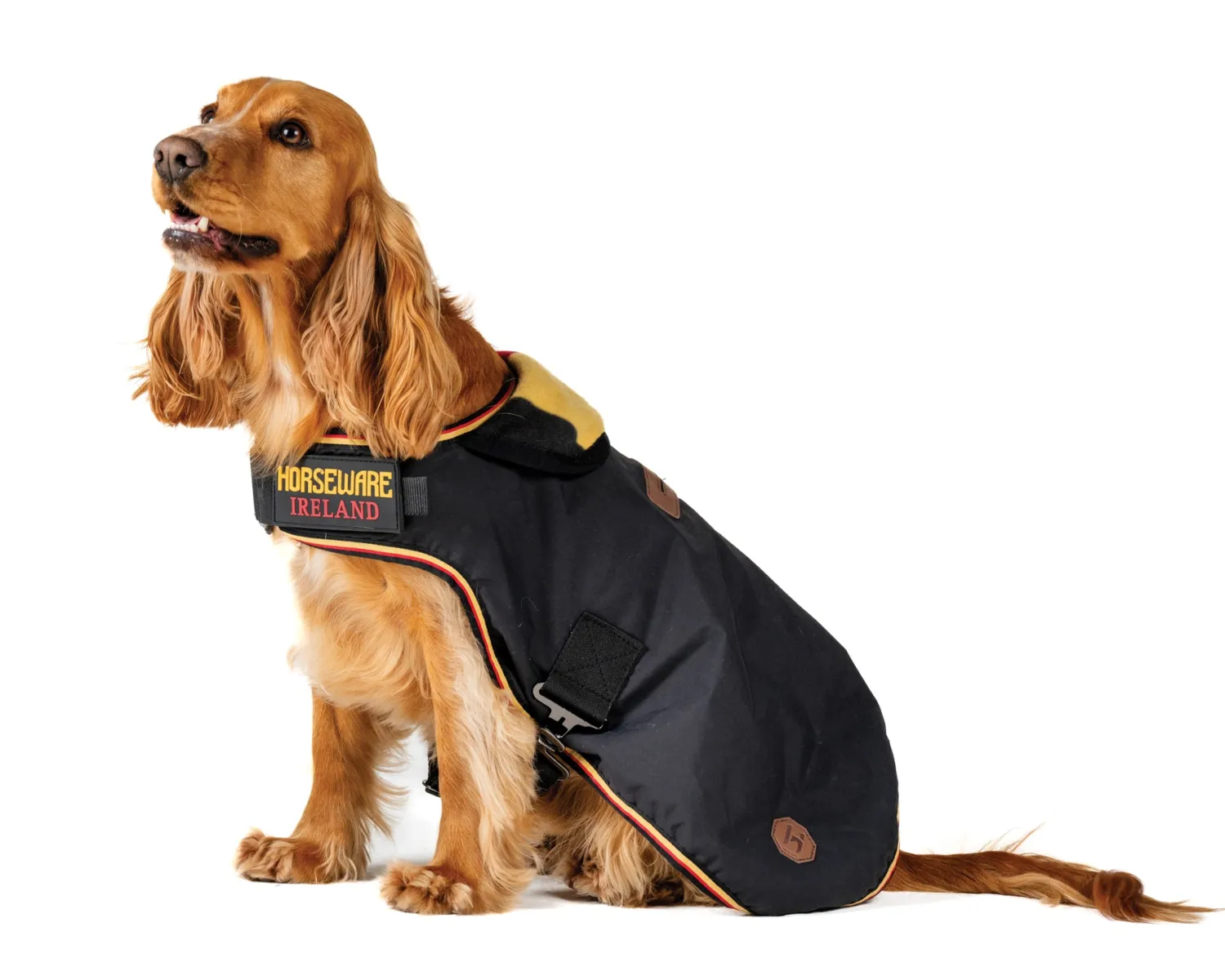 HORSEWARE ® Ireland Newmarket Dog Coat XXS-M Online