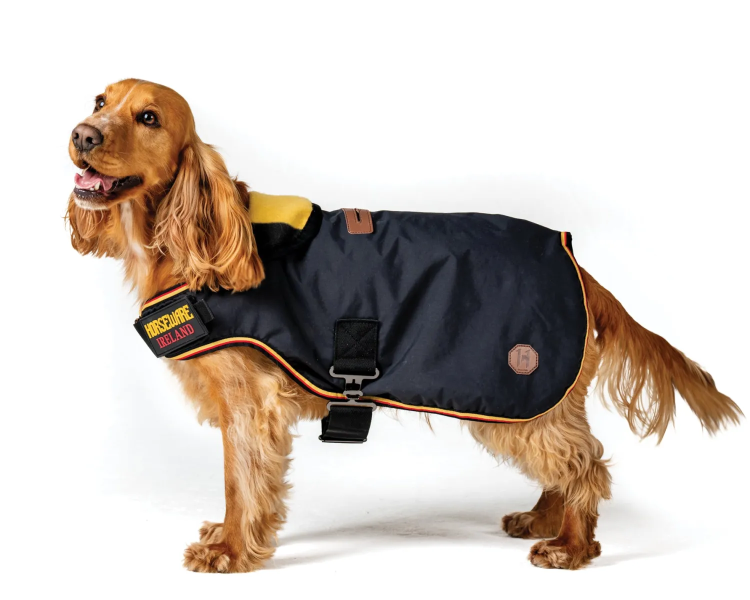 HORSEWARE ® Ireland Newmarket Dog Coat XXS-M Online