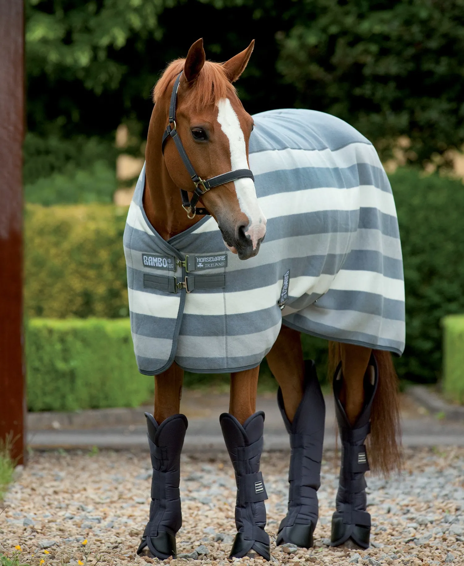 HORSEWARE ® Ireland Rambo® Deluxe Fleece