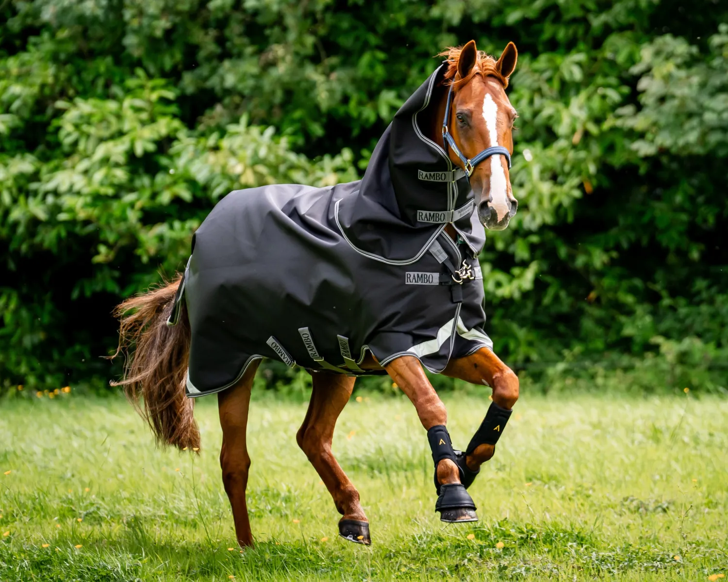 HORSEWARE ® Ireland Rambo® 1680D Vari-Layer Plus Heavy Turnout–450g Discount