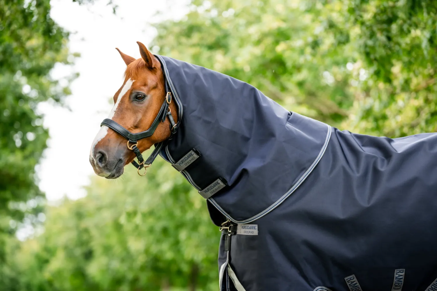 HORSEWARE ® Ireland Rambo® 1680D Vari-Layer Plus Heavy Turnout–450g Discount