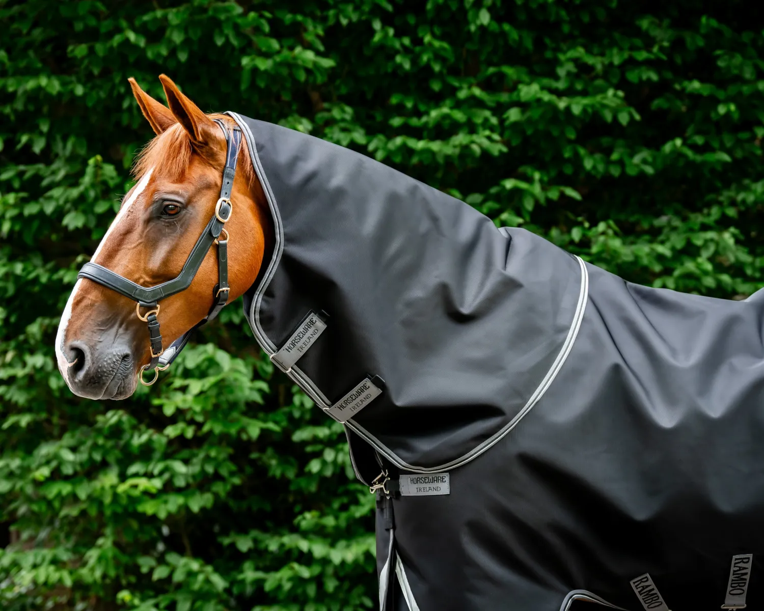 HORSEWARE ® Ireland Rambo® 1680D Vari-Layer Plus Heavy Turnout–450g Discount