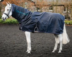 HORSEWARE ® Ireland Rambo® Mack in a Sack Discount