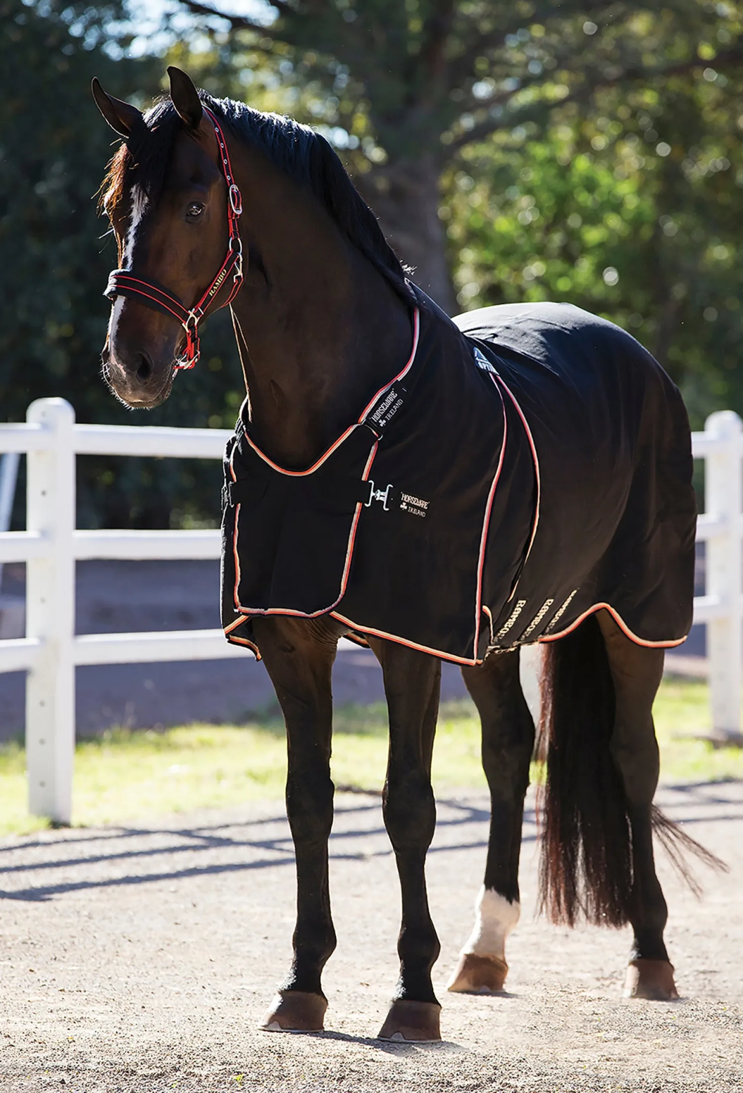 HORSEWARE ® Ireland Rambo® Optimo Stable Sheet Hot