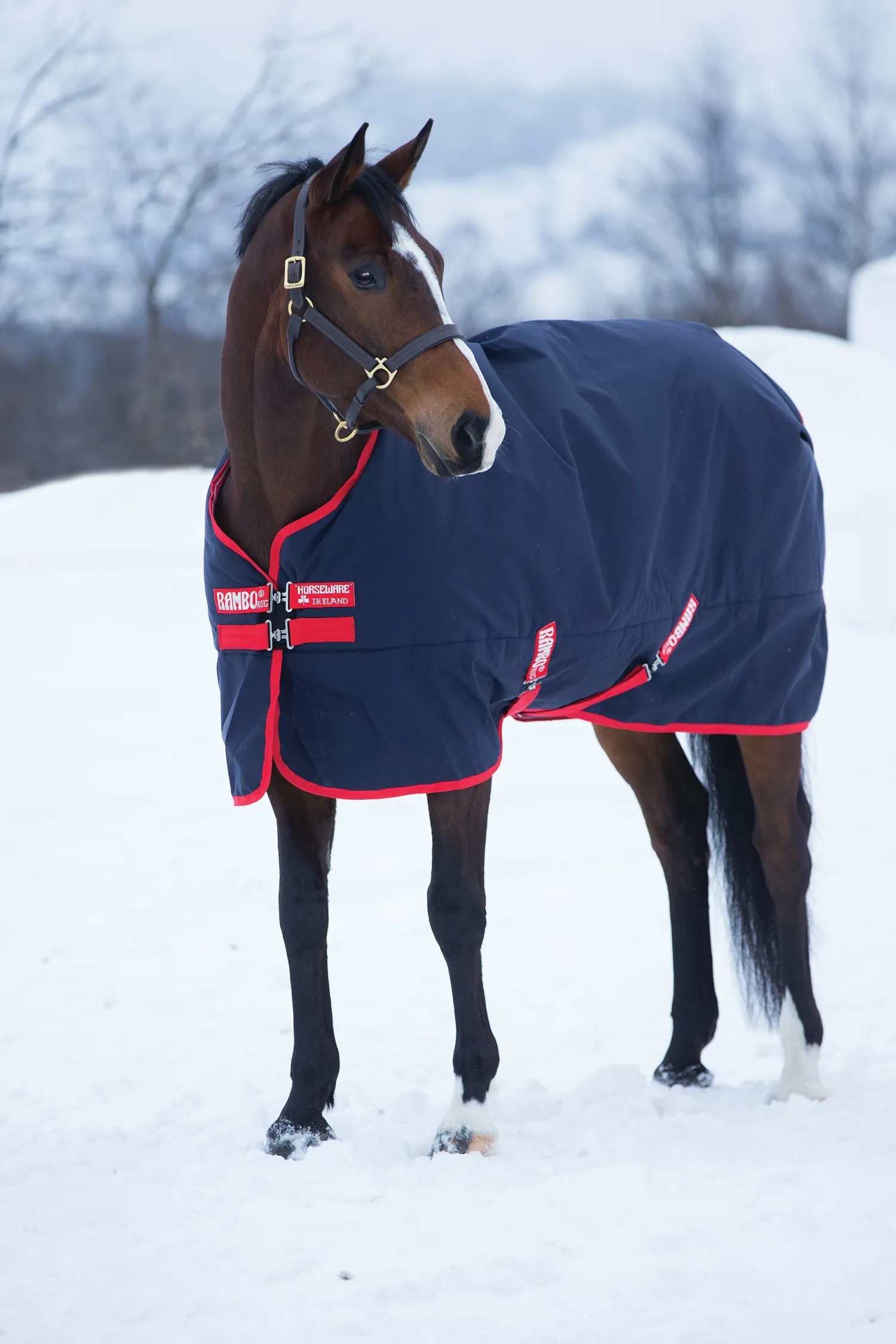 HORSEWARE ® Ireland Rambo® Original 1000D Medium-Weight Turnout Blanket–200G Navy/Red Outlet