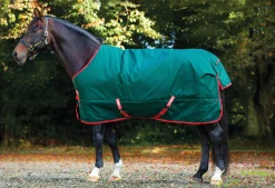 HORSEWARE ® Ireland Rambo® Original 1000D Heavyweight Turnout–400G Green/Red New