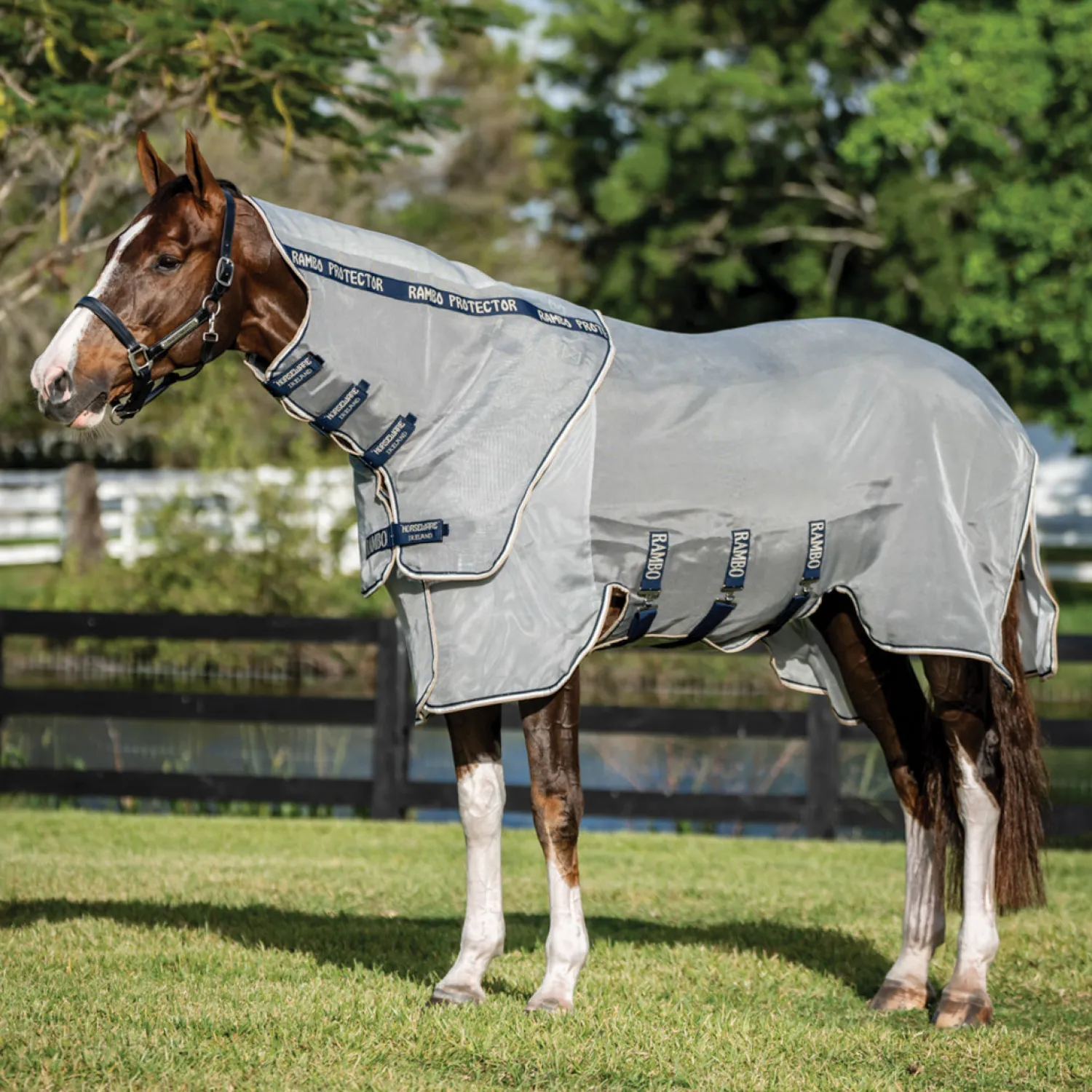 HORSEWARE ® Ireland Rambo® Protector Fieldsafe Plus Silver/Navy/White/Beige Discount