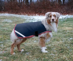 HORSEWARE ® Ireland Rambo® Waterproof Dog Blanket Clearance