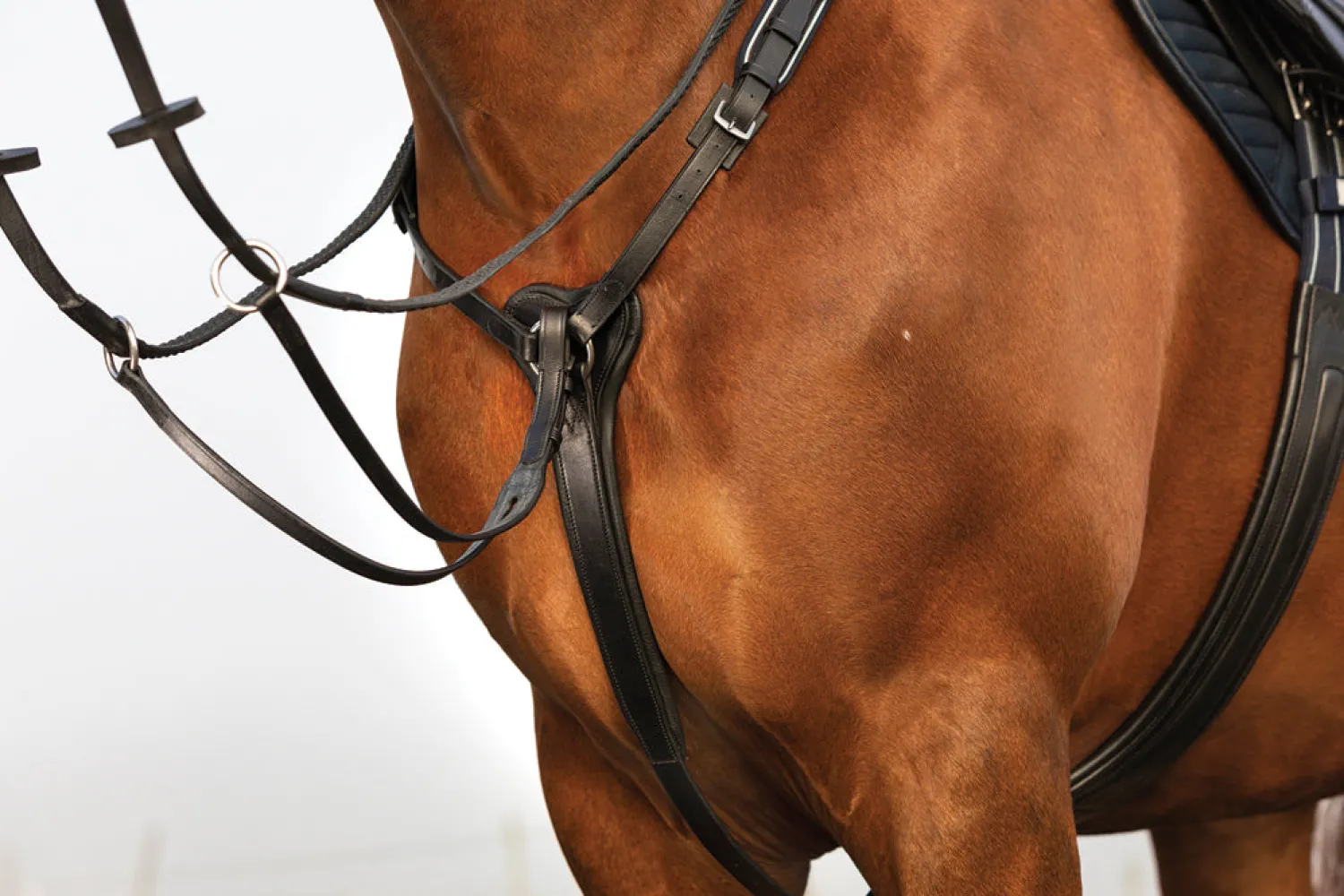HORSEWARE ® Rambo® Micklem® Three-Point Breastplate Clearance