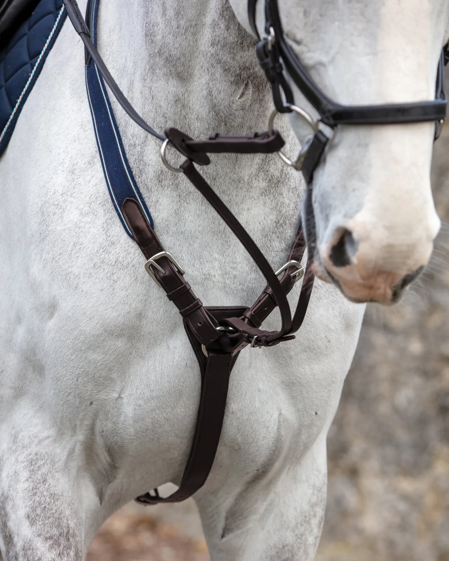 HORSEWARE ® Rambo® Micklem® Three-Point Breastplate Clearance