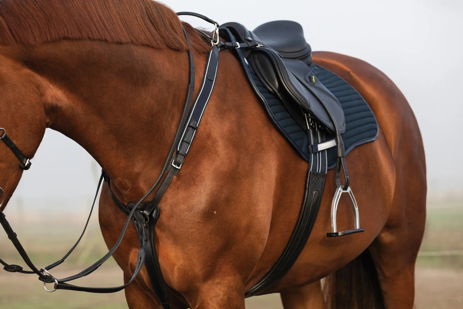 HORSEWARE ® Rambo® Micklem® Three-Point Breastplate Clearance