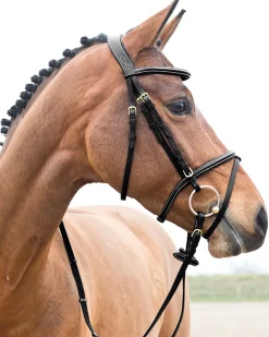 EQUINAVIA Horze Constance Padded Flash Snaffle Bridle Online