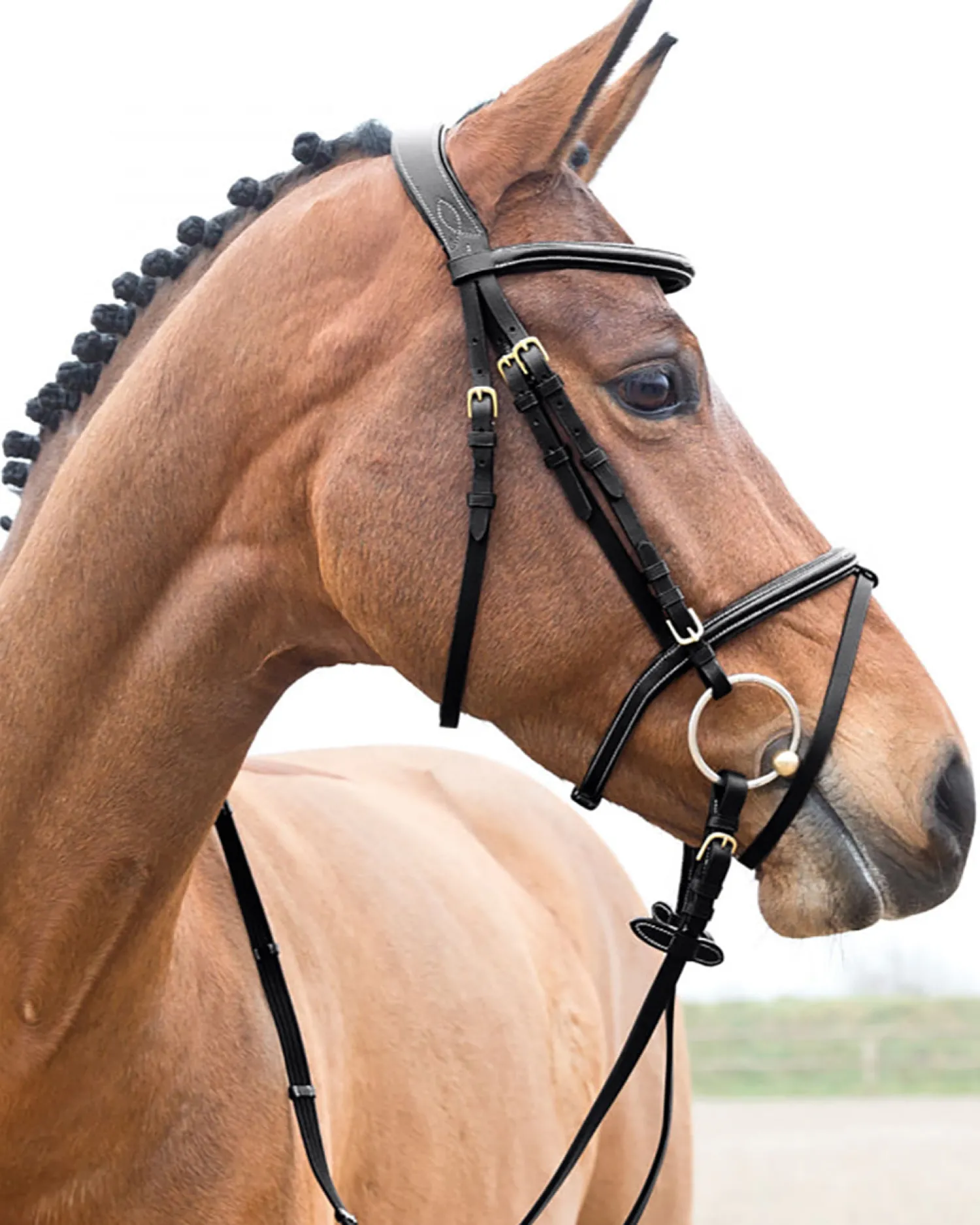 EQUINAVIA Horze Constance Padded Flash Snaffle Bridle Online