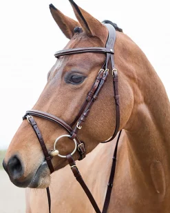 EQUINAVIA Horze Constance Padded Flash Snaffle Bridle Online