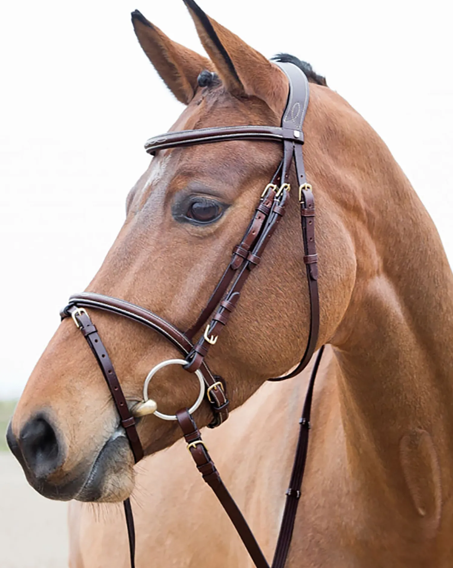 EQUINAVIA Horze Constance Padded Flash Snaffle Bridle Online