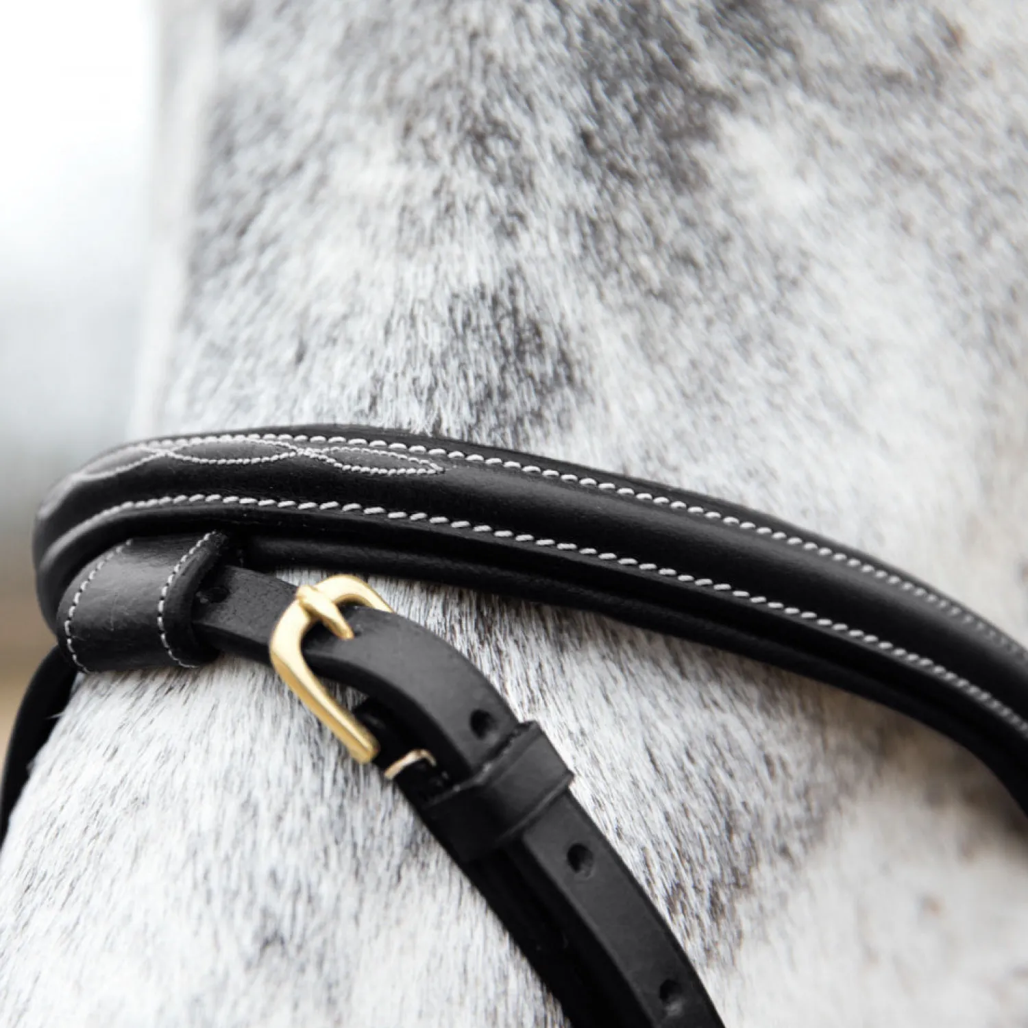 EQUINAVIA Horze Constance Padded Flash Snaffle Bridle Online