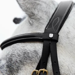 EQUINAVIA Horze Constance Padded Flash Snaffle Bridle Online