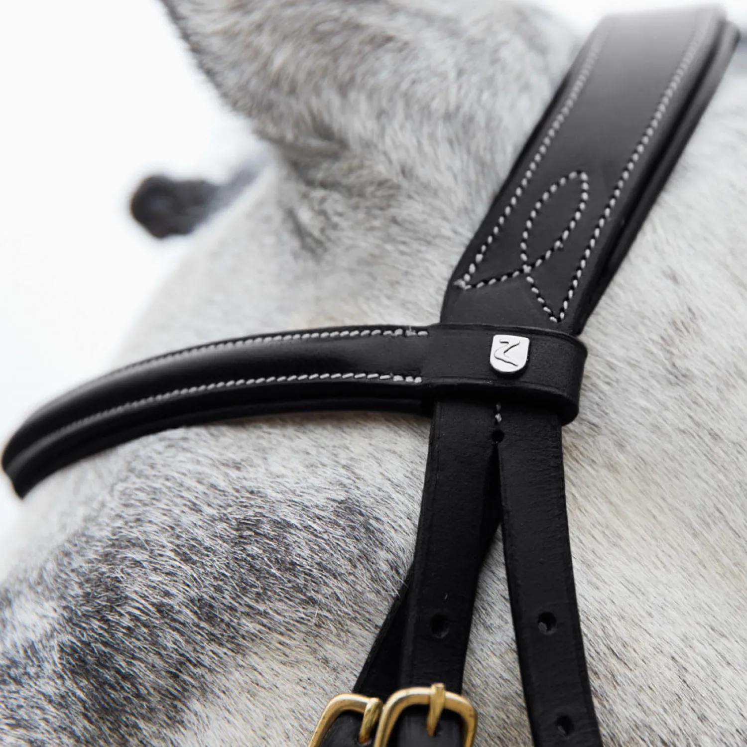 EQUINAVIA Horze Constance Padded Flash Snaffle Bridle Online