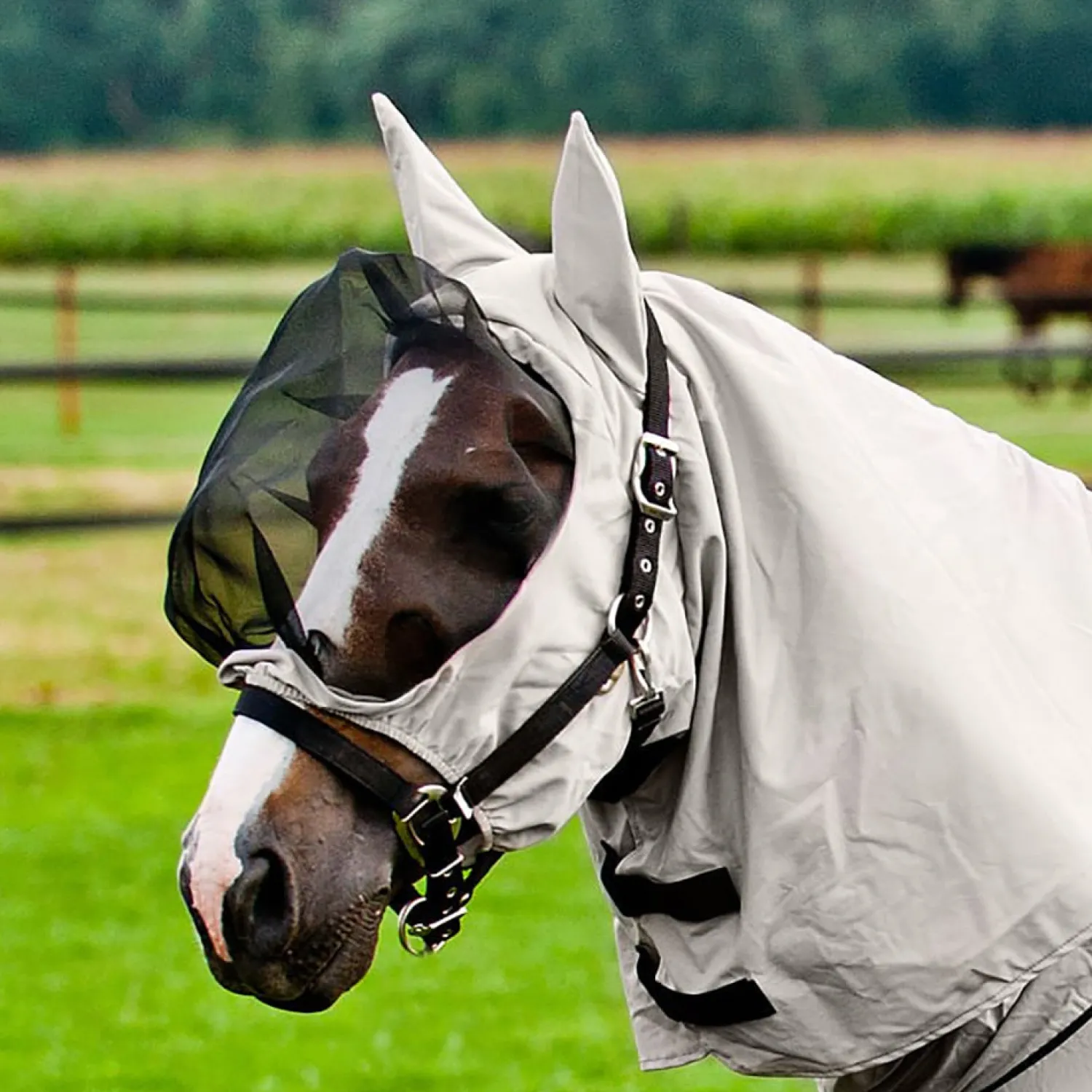 EQUINAVIA Horze Eczema Mask Grey Hot