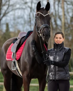 EQUINAVIA Horze Grayson Snaffle Bridle