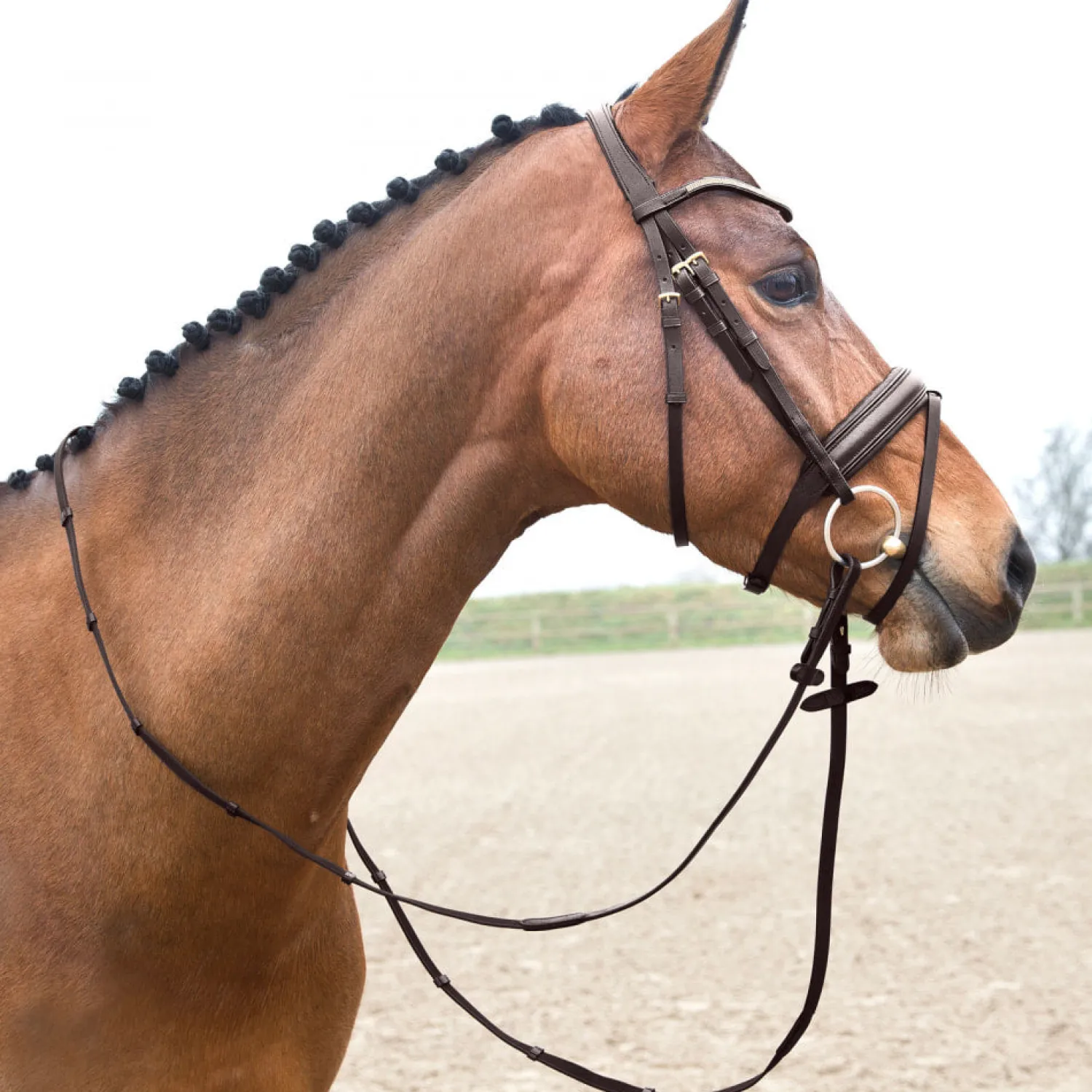 EQUINAVIA Horze Lester Snaffle Bridle New