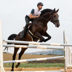 EQUINAVIA Horze Men’s Grand Prix Full-Seat Breech with Silicone Grip Best