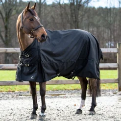 EQUINAVIA Horze Nevada 1200D Lightweight Turnout Sheet Best