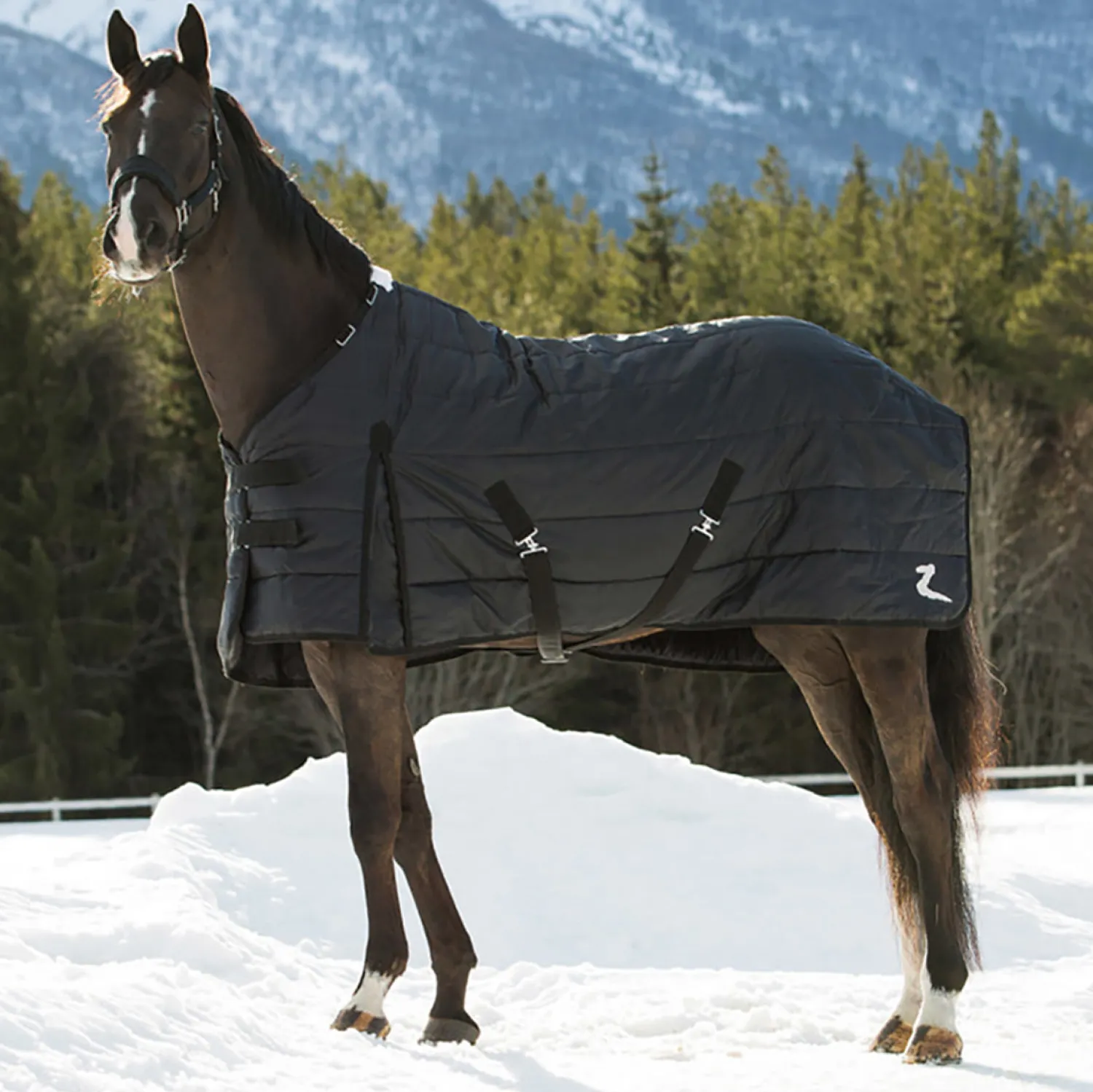 EQUINAVIA Horze Nevada Lightweight Stable Blanket Black Hot