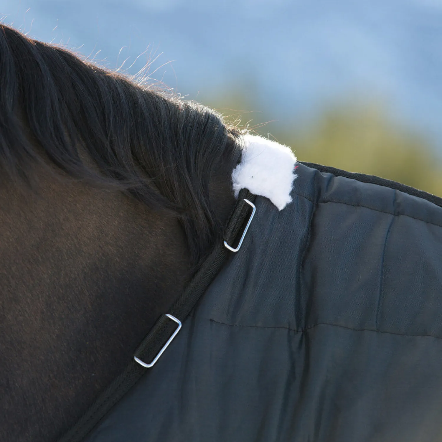 EQUINAVIA Horze Nevada Lightweight Stable Blanket Black Hot