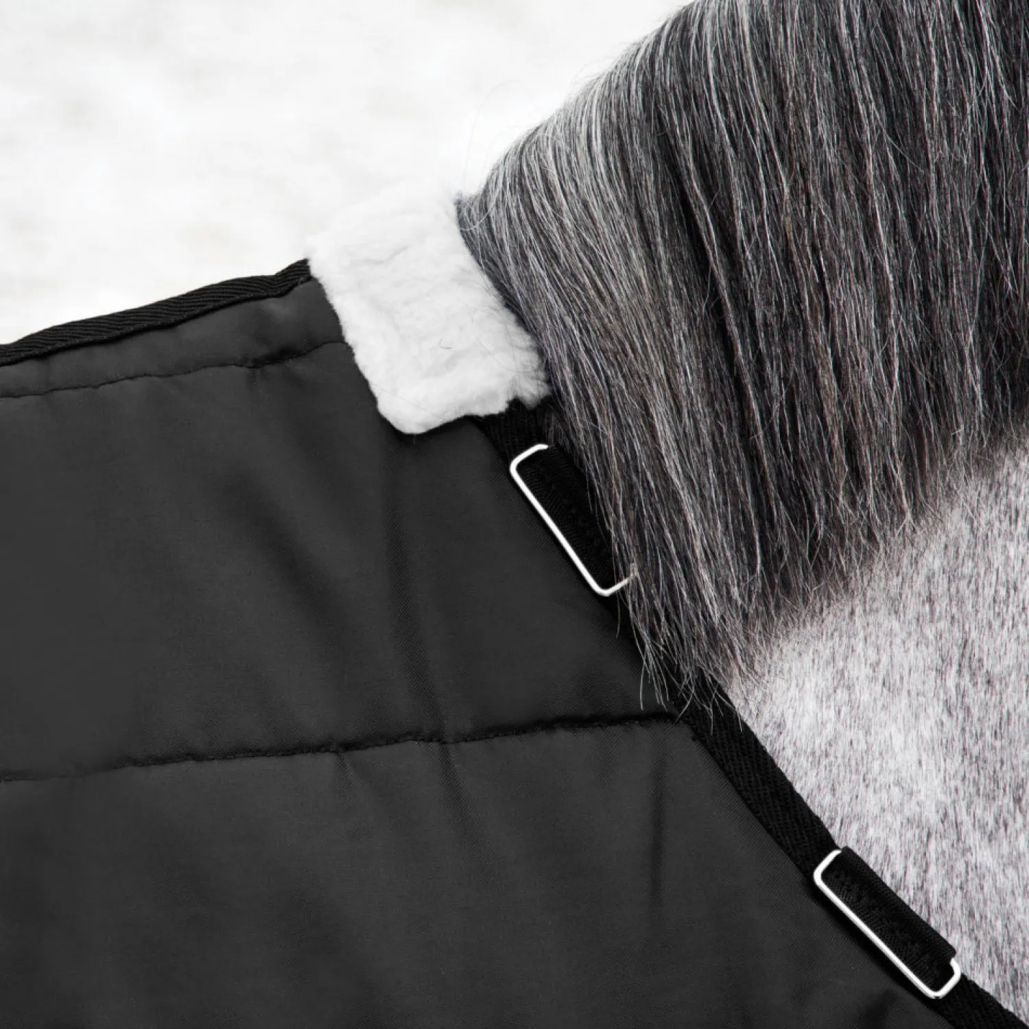 EQUINAVIA Horze Nevada Medium-Weight Stable Blanket Black