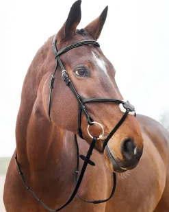 EQUINAVIA Horze Prescott Figure-8 Bridle