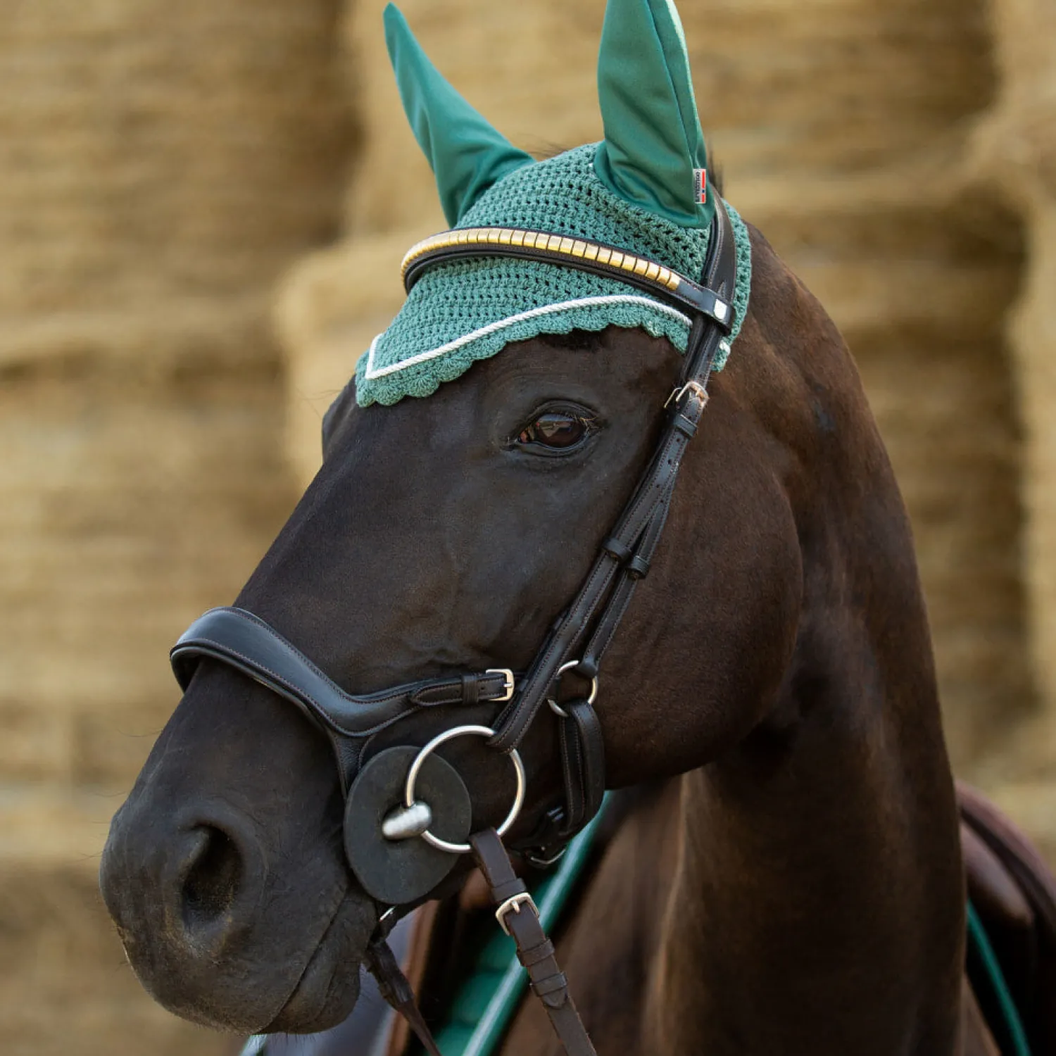 EQUINAVIA Horze Stewart Bridle