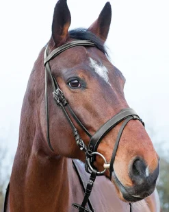 EQUINAVIA Horze Venice Snaffle Bridle Sale