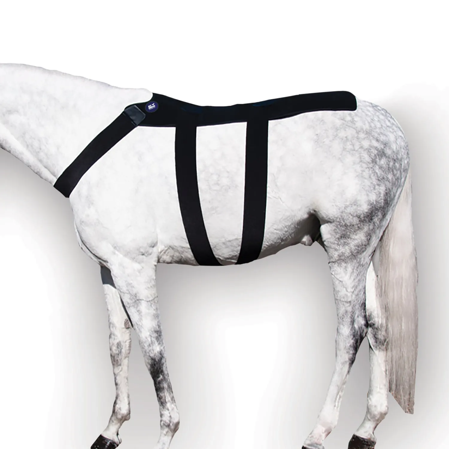 MACKINNON Ice Horse® Back Blanket New