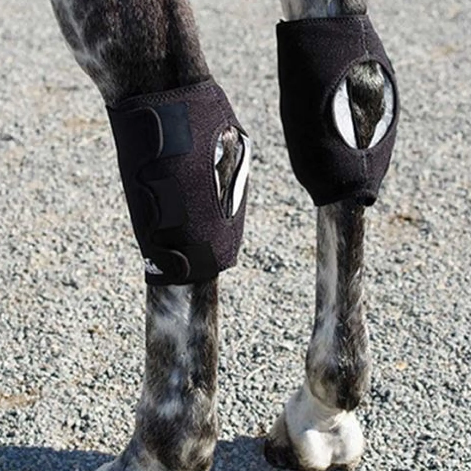 MACKINNON Ice Horse® Hock Wrap Online