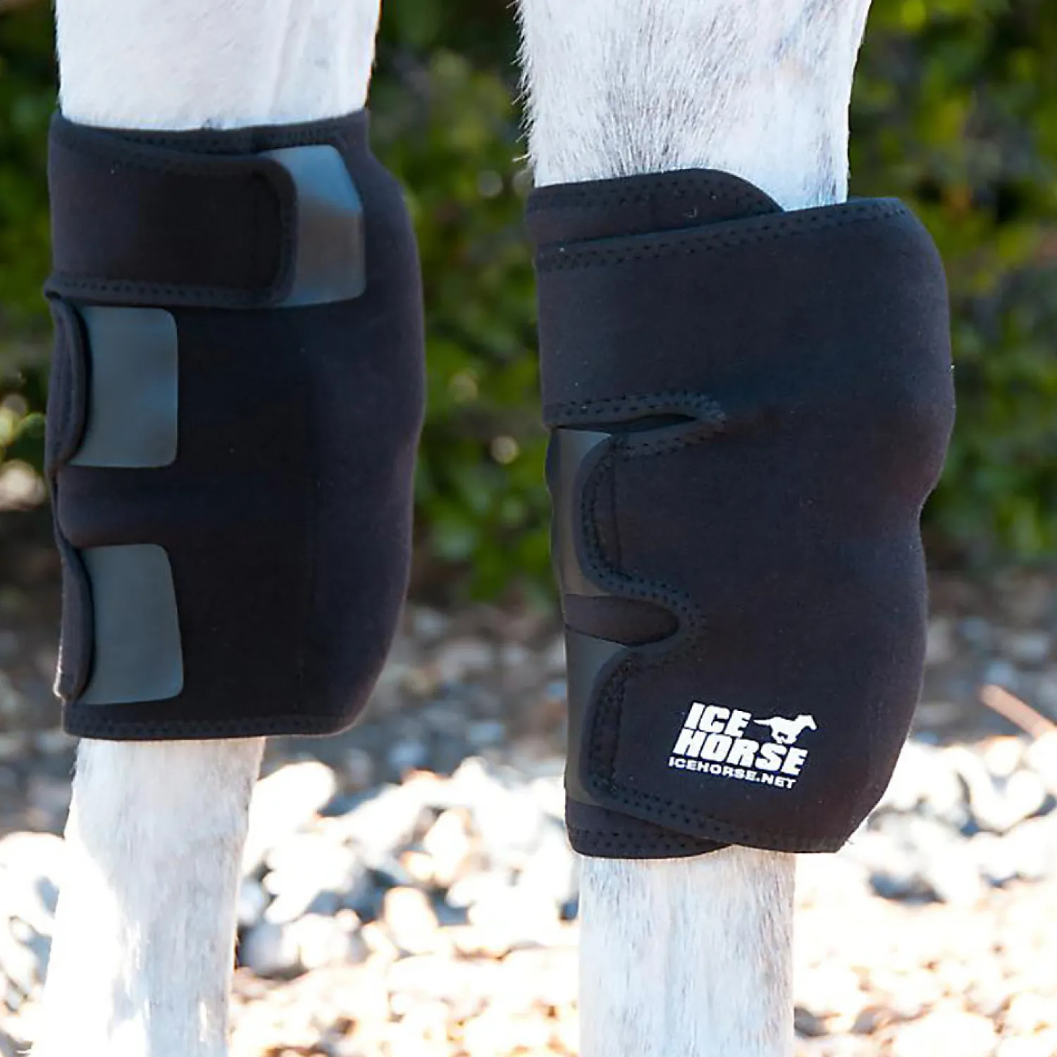 MACKINNON Ice Horse® Knee Wraps - Pair Sale