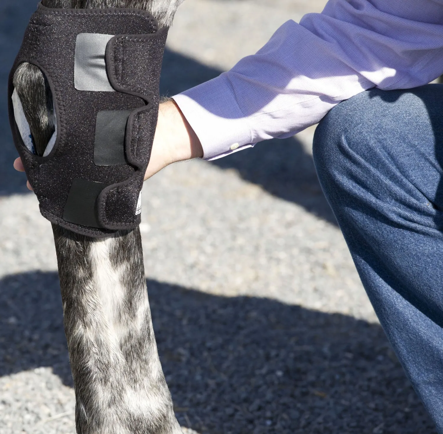 MACKINNON Ice Horse® Pony Hock Wrap – Pair Sale
