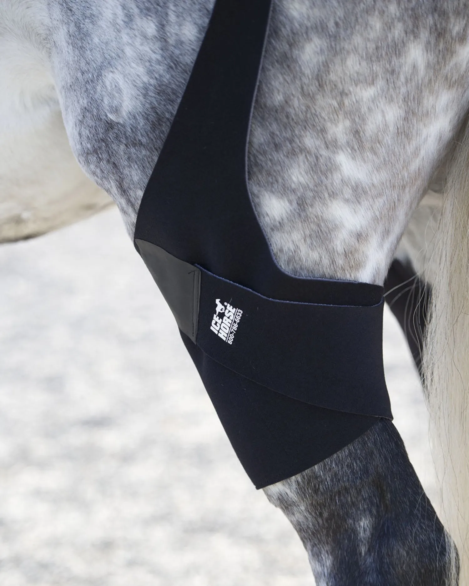 MACKINNON Ice Horse® Pony Stifle Wraps – Pair