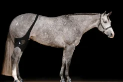 MACKINNON Ice Horse® Stifle Wraps Sale