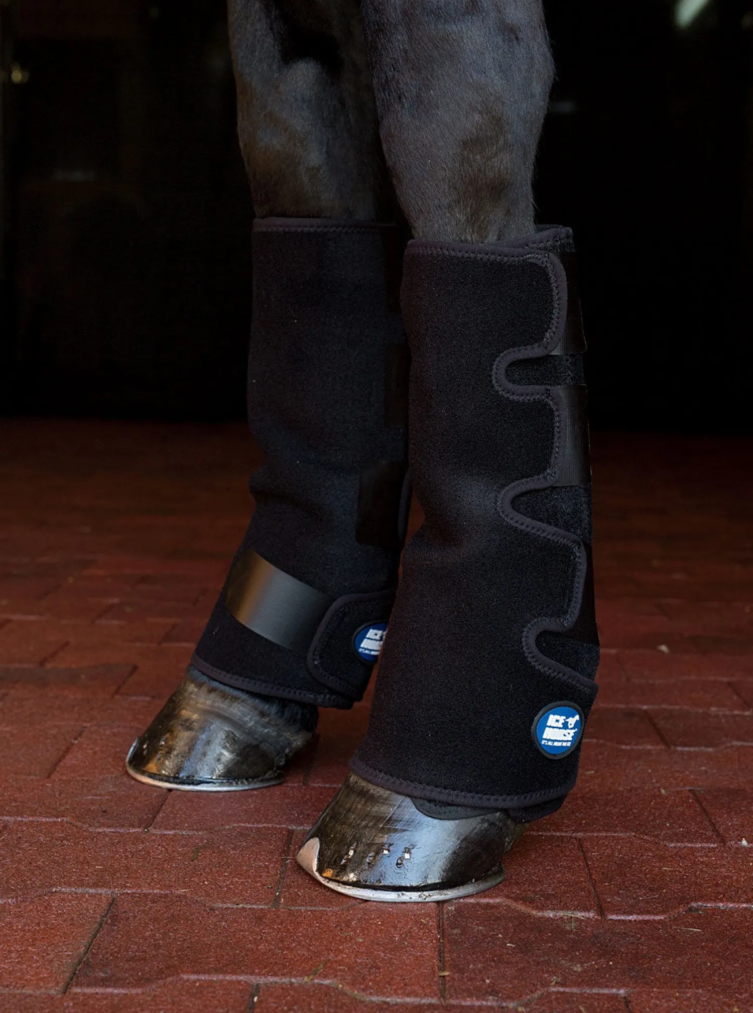 MACKINNON Ice Horse® Suspensory Wraps Clearance