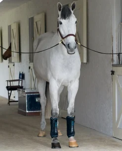 HORSEWARE ICE-VIBE Boots Black Outlet