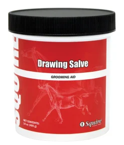 ANIMAL HEALTH INT Ichthammol Drawing Salve Best