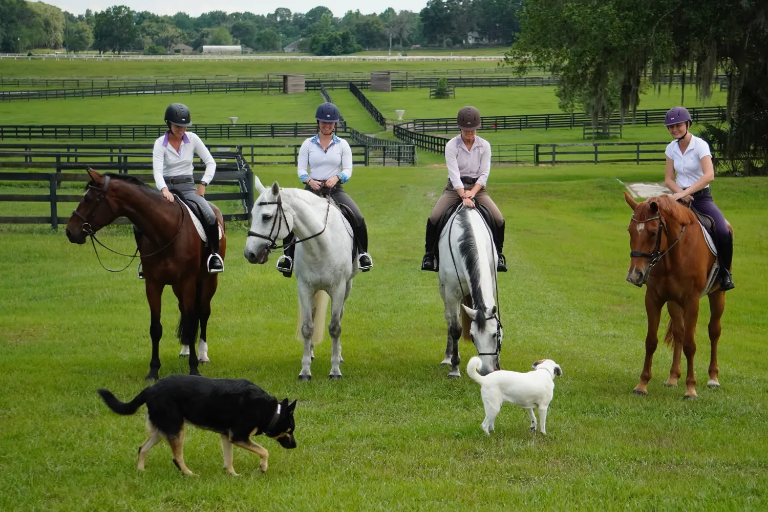 INT RIDING HELMET IRH® Equi-Pro Helmet with Sun Visor