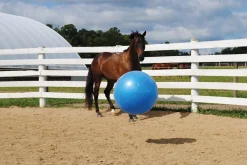 HORSEMEN S PRIDE Jolly Mega Ball Blue Clearance