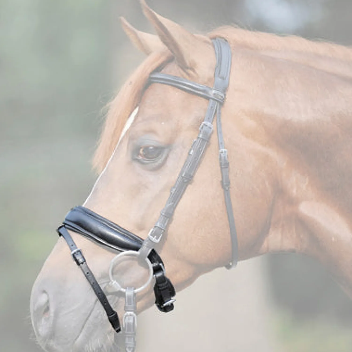 PEP-KAVALKADE Kavalkade Extra-Wide Flash Crank Caveson Black