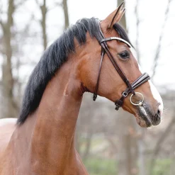 PEP-KAVALKADE Kavalkade Florina Bridle Dark Brown Patent Online