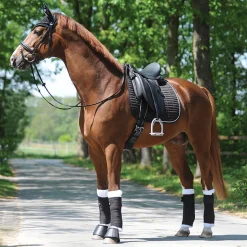 PEP-KAVALKADE Kavalkade KavalEasy Rhinestone Dressage Pad Online
