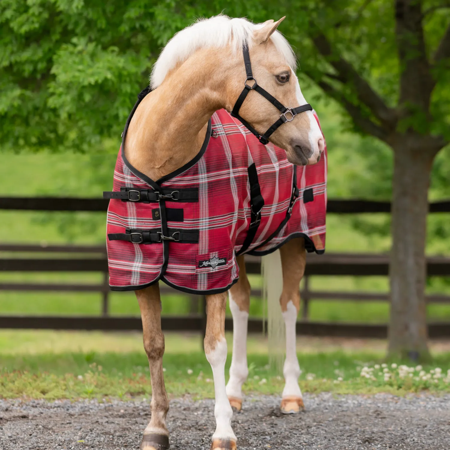 KENSINGTON ™ Draft Protective Sheet SureFit® Merlot